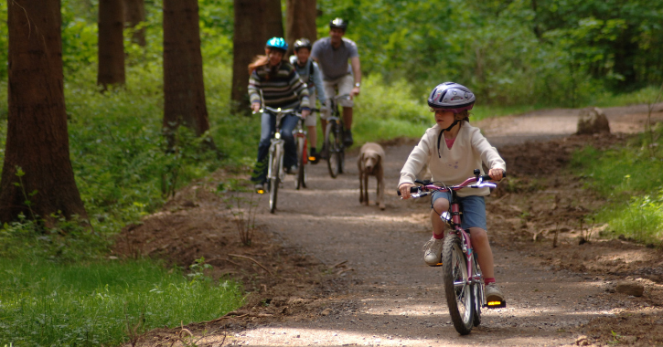 Family cycling in Hamsterley Forest with a dog running beside them. 